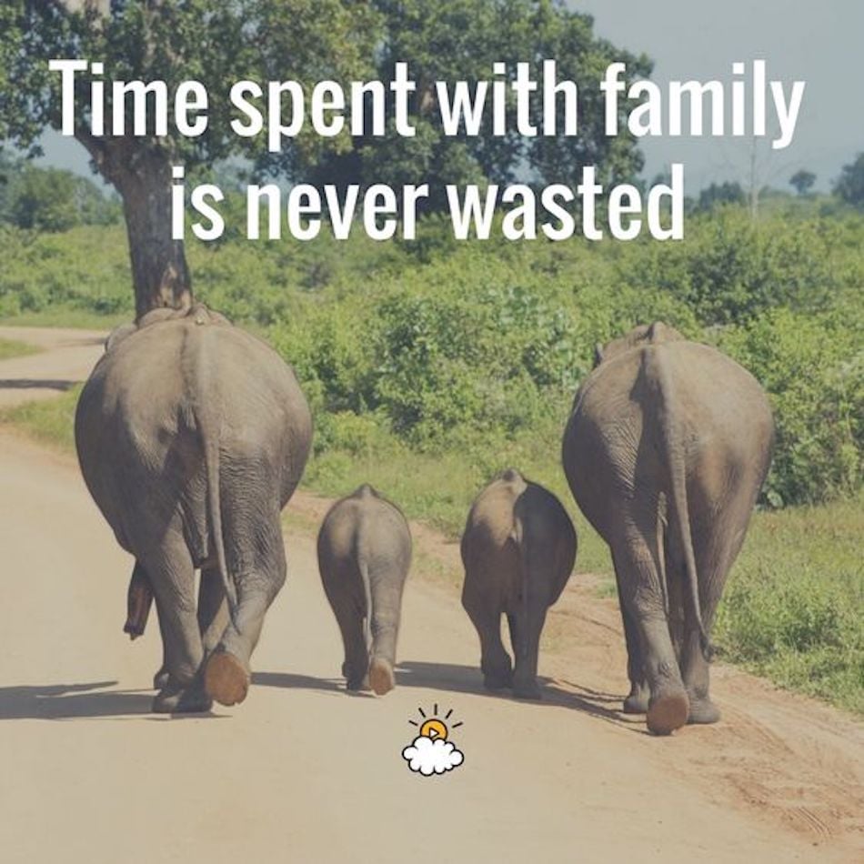 family-quotes-1.jpg family-quotes-1.jpg