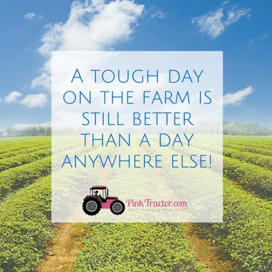 farm-quotes-3.jpg