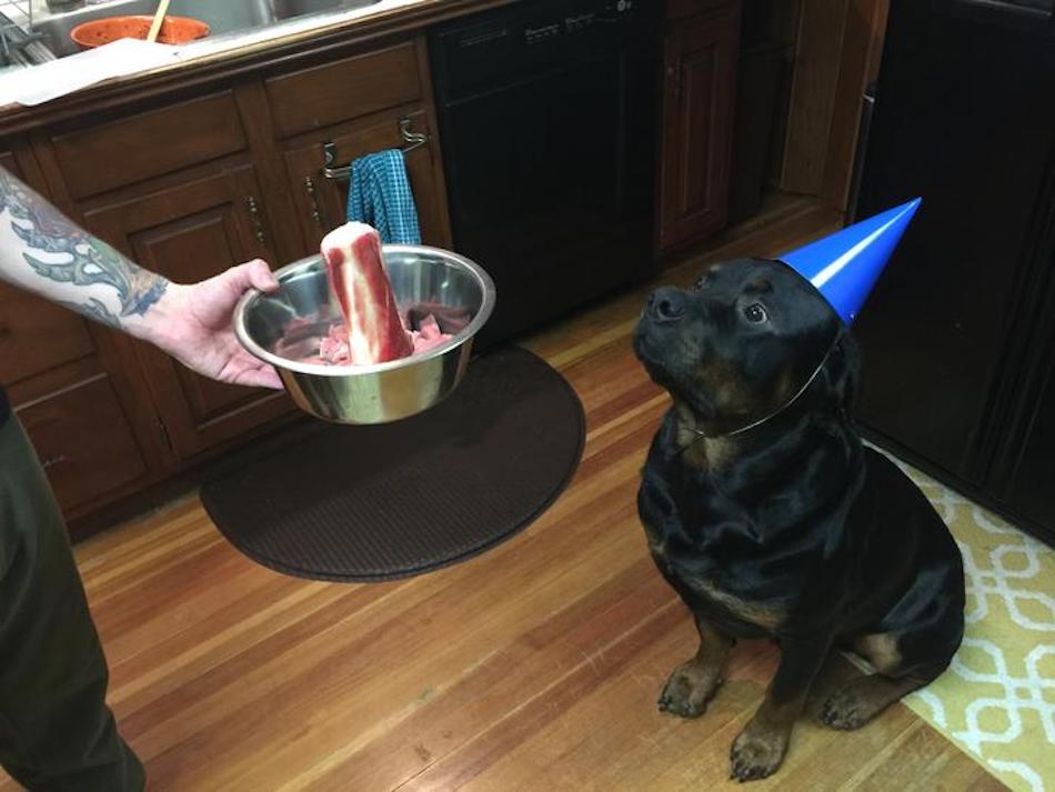 feast.jpg
