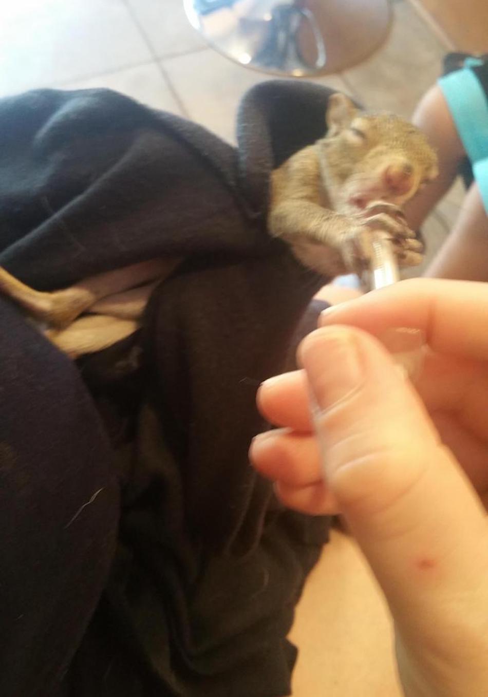 feeding-1.jpg