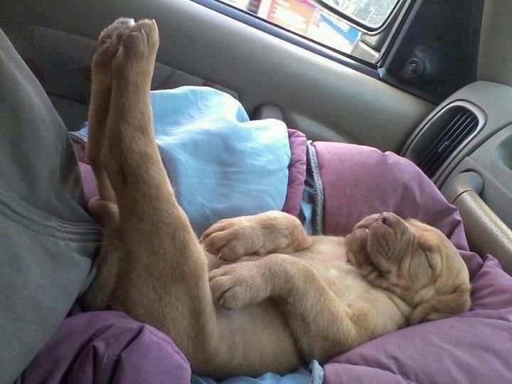feetup.jpg