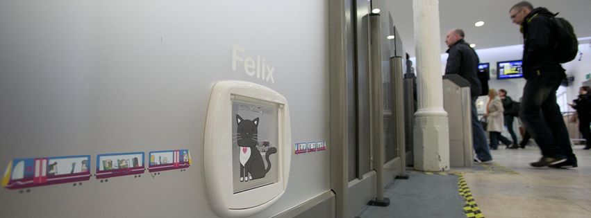 felixcat_l.jpg