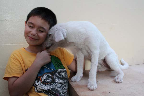 filipino-dogs10.jpg