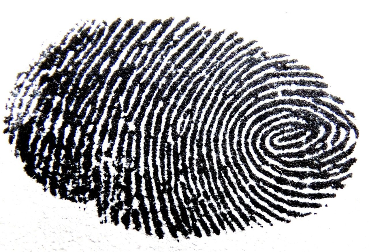 fingerprint-456483_1280.jpg