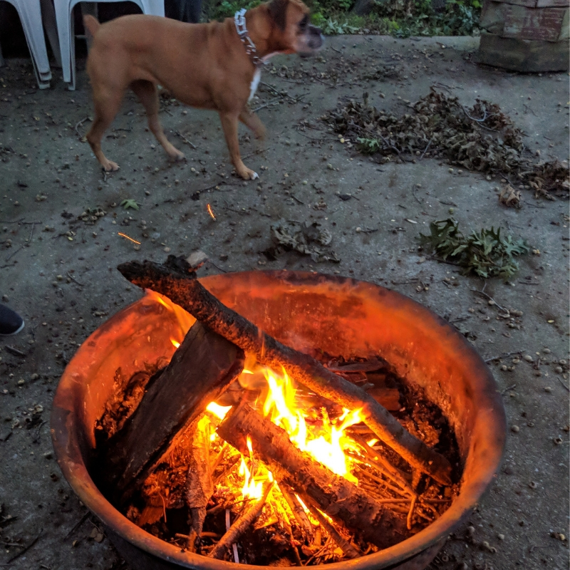 fire.jpg