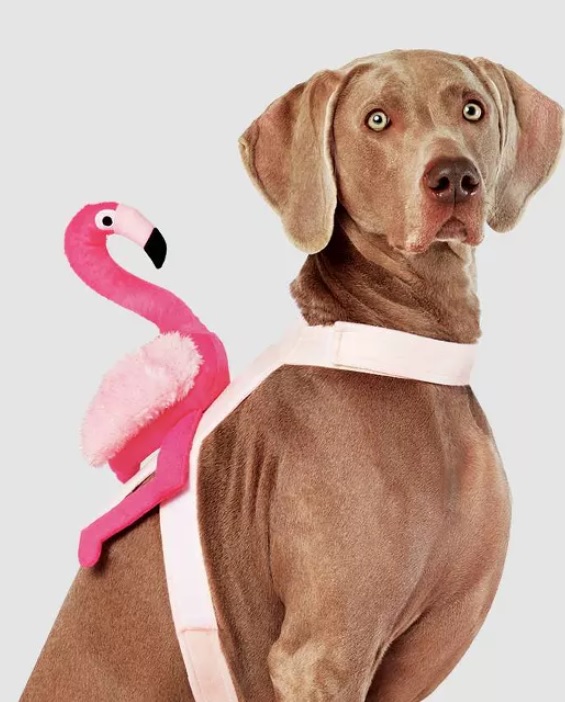 flamingo.jpg