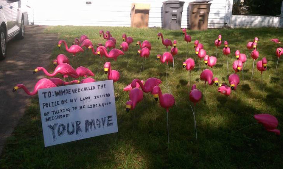 flamingoes.jpg