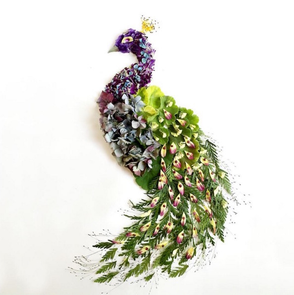 flora-11.jpg