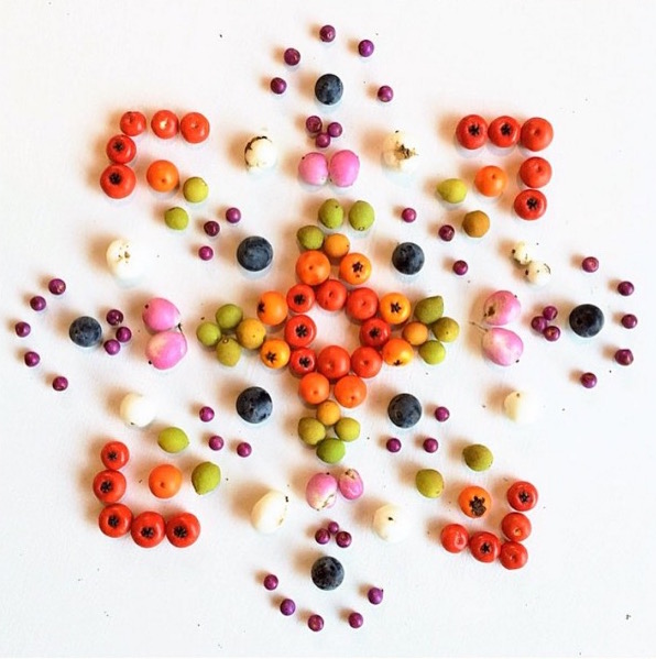 flora-14.jpg