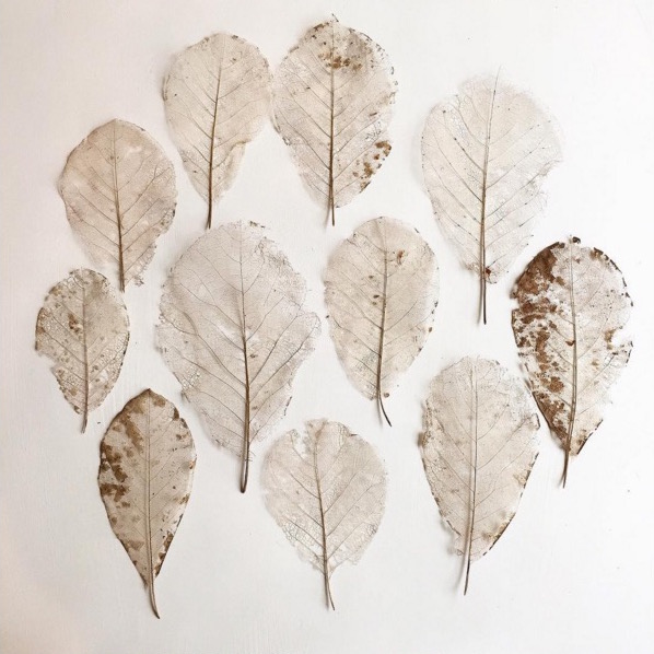flora-15.jpg