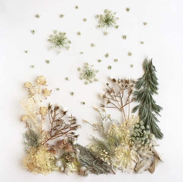 flora-2.jpg