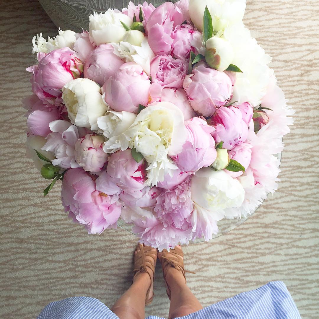 flower-1.jpg