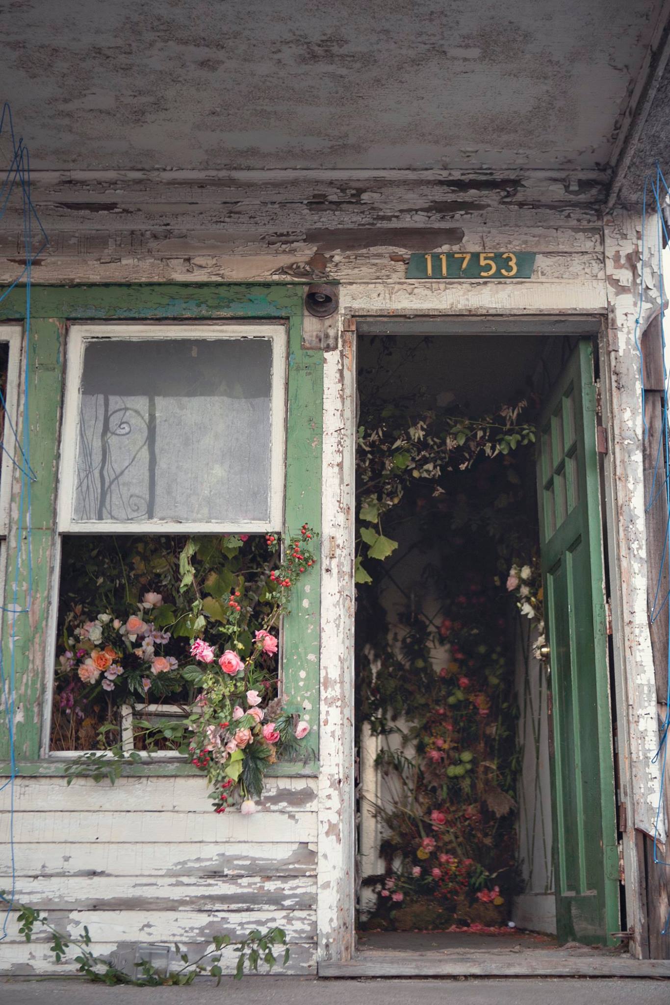 flower-10.jpg