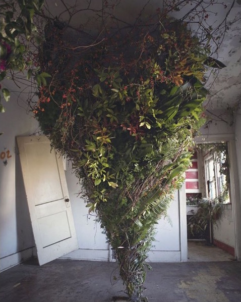 flower-2.2.jpg