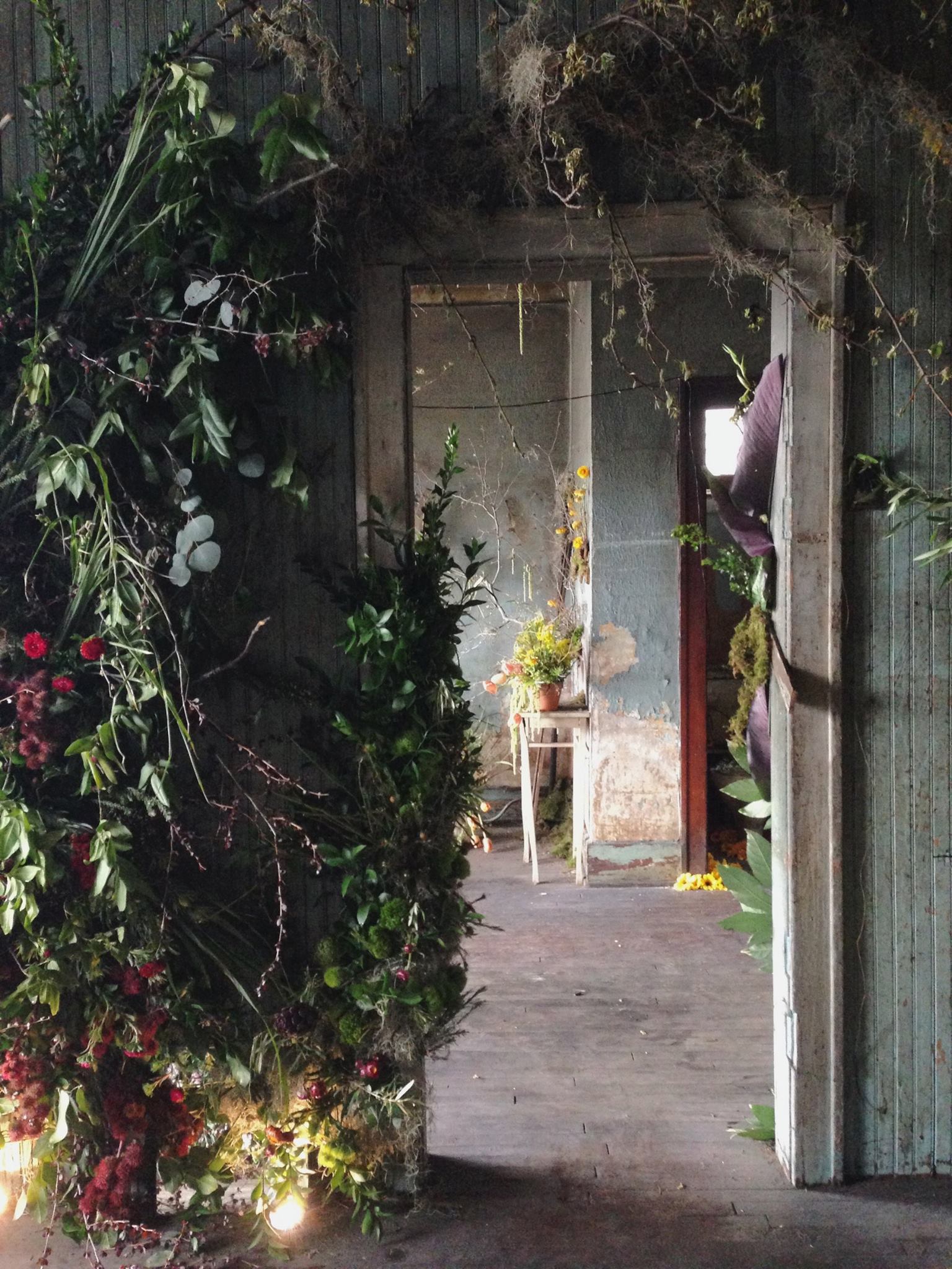 flower-4.jpg