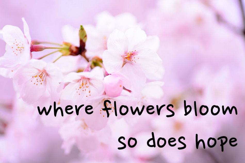 flowers3.jpg