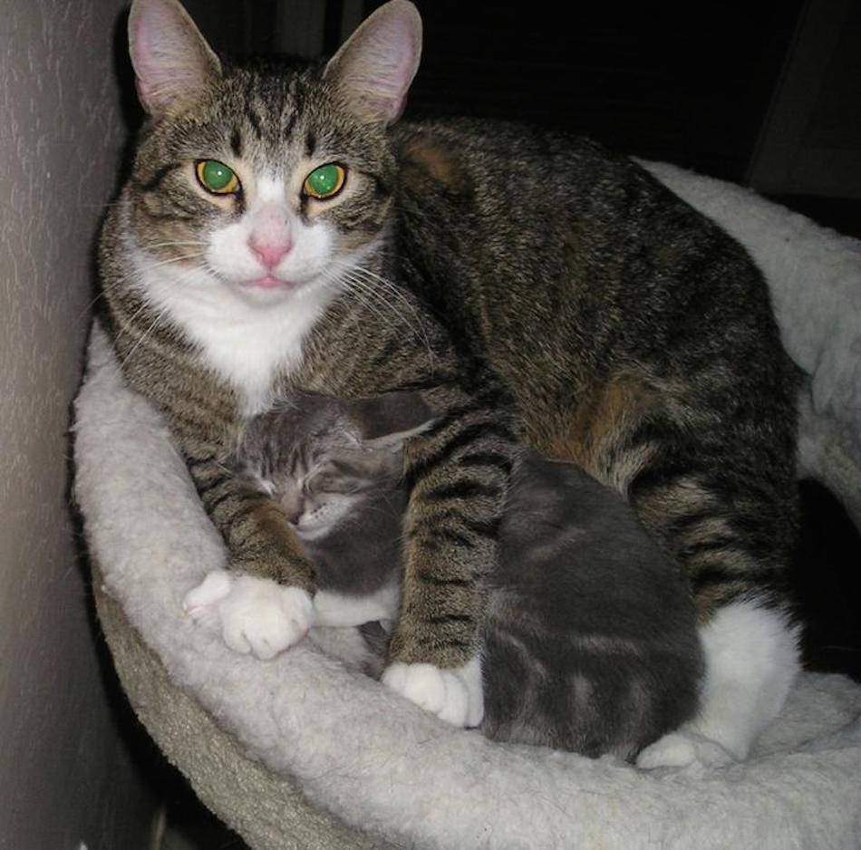 foster-dad.jpg