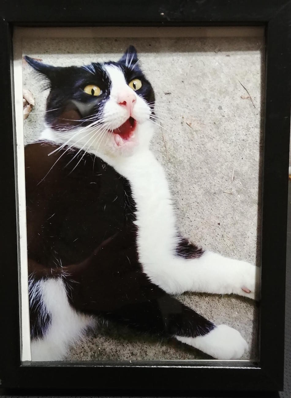 framed.jpg