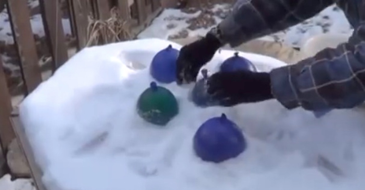 frozen water balloons