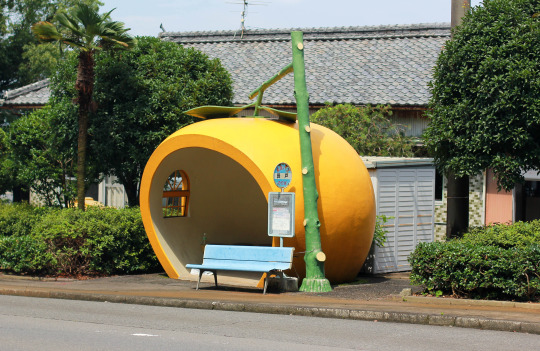 fruit-10.jpg