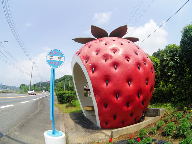 fruit-12.jpg