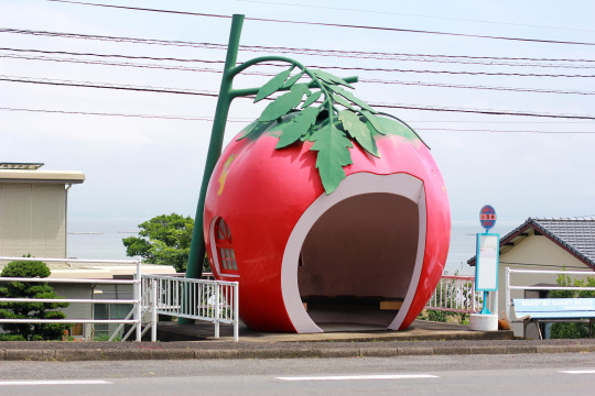 fruit-8.jpg
