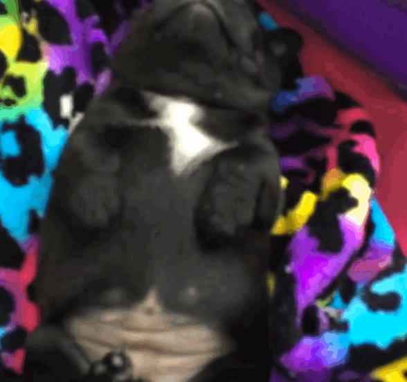 funnysleep.gif