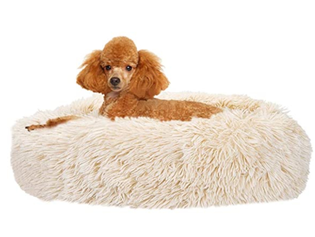 furry-dog-bed.jpg