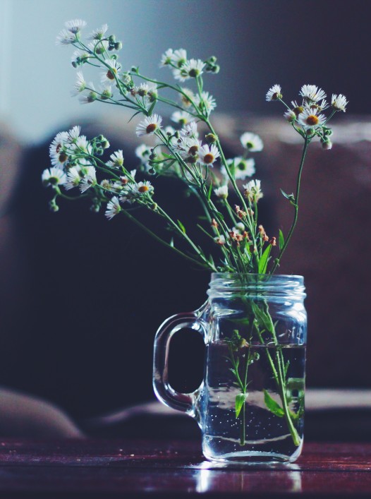 garden-daisies-in-the-house_t20_GRXelE.jpg