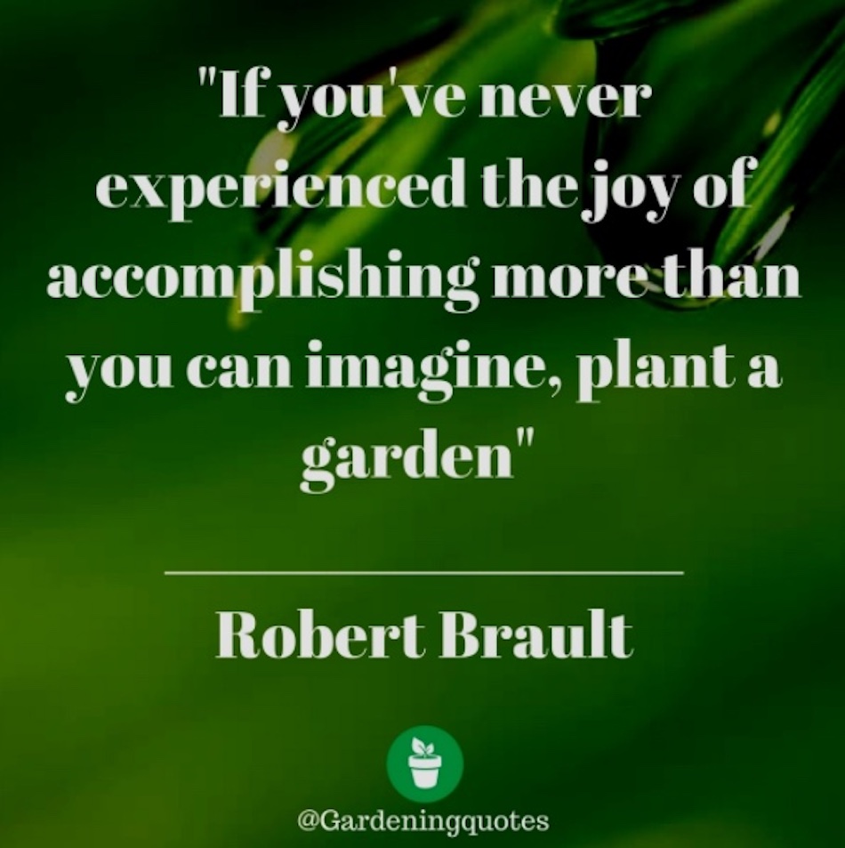 gardening-quotes-1.jpg