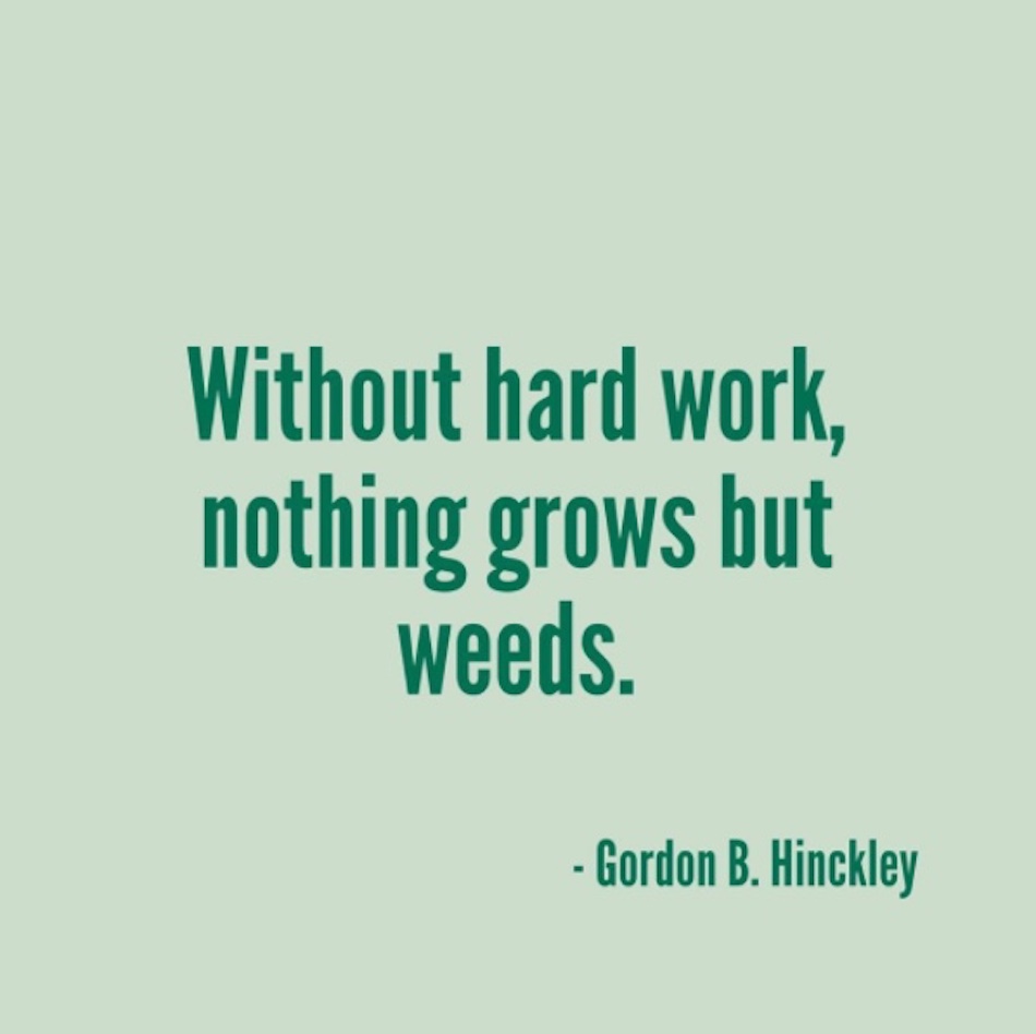 gardening-quotes-82.jpg