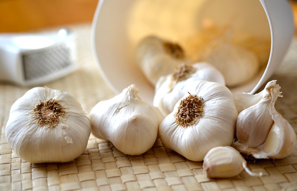 garlic-1.jpg