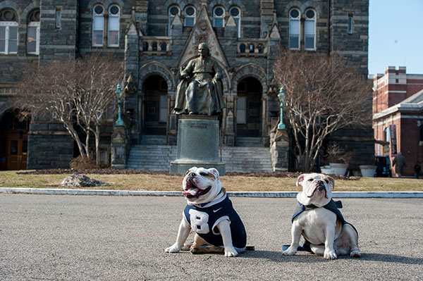 georgetown-in-photos-february-2014-03.jpg