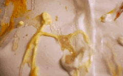 gif4-1.gif