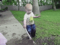 giphy-1-12.gif