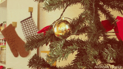 giphy-1-16.gif