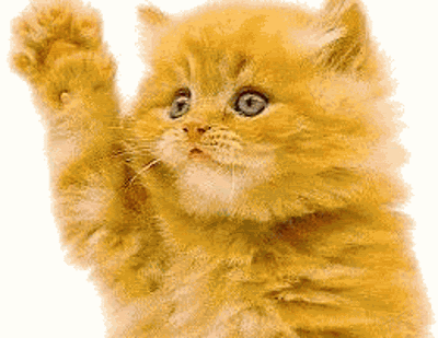 giphy-11-3.gif