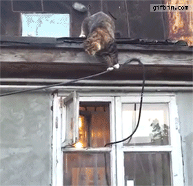 giphy-112.gif