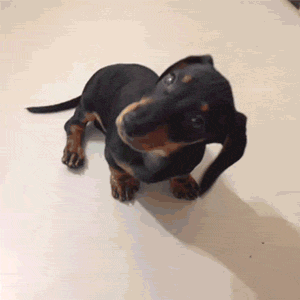 giphy-3-9.gif