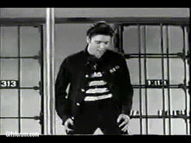 giphy-33.gif