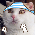 giphy-5-5.gif