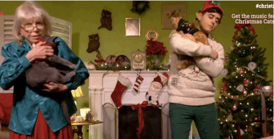 giphy2-4.gif