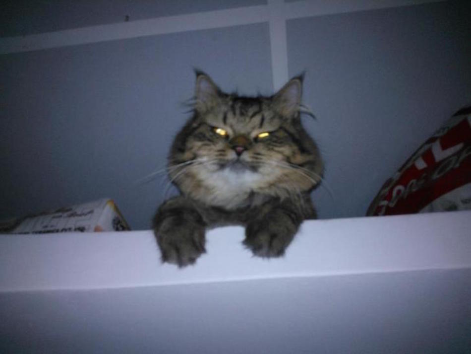 glare.jpg
