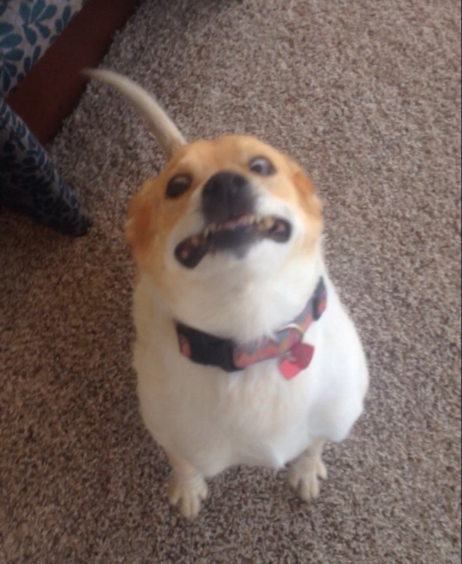 go-for-a-walk.jpg