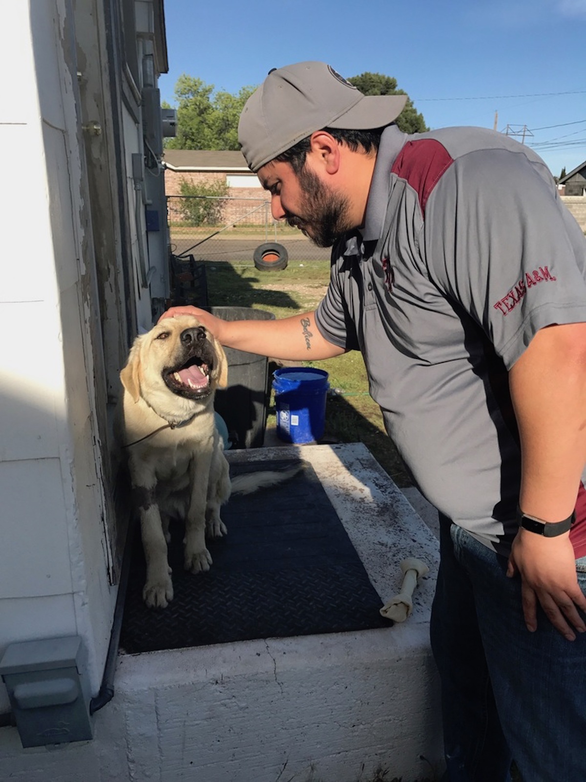 good-dog-7.jpg