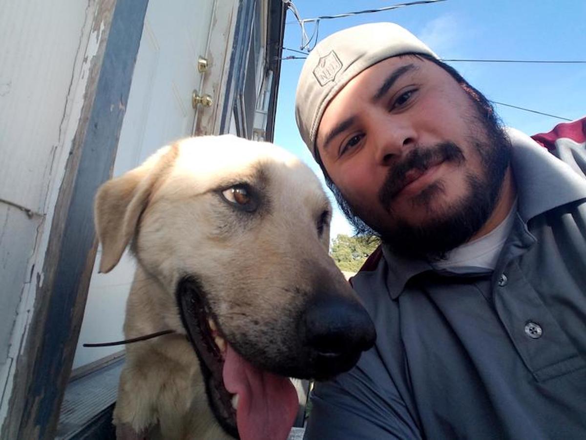 good-dog-8.jpg