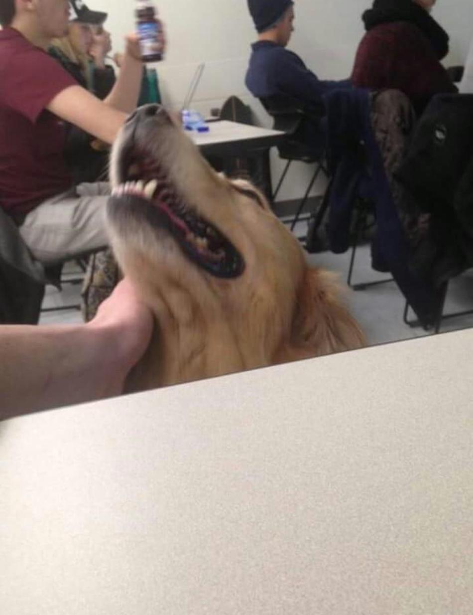 good-girl.jpg