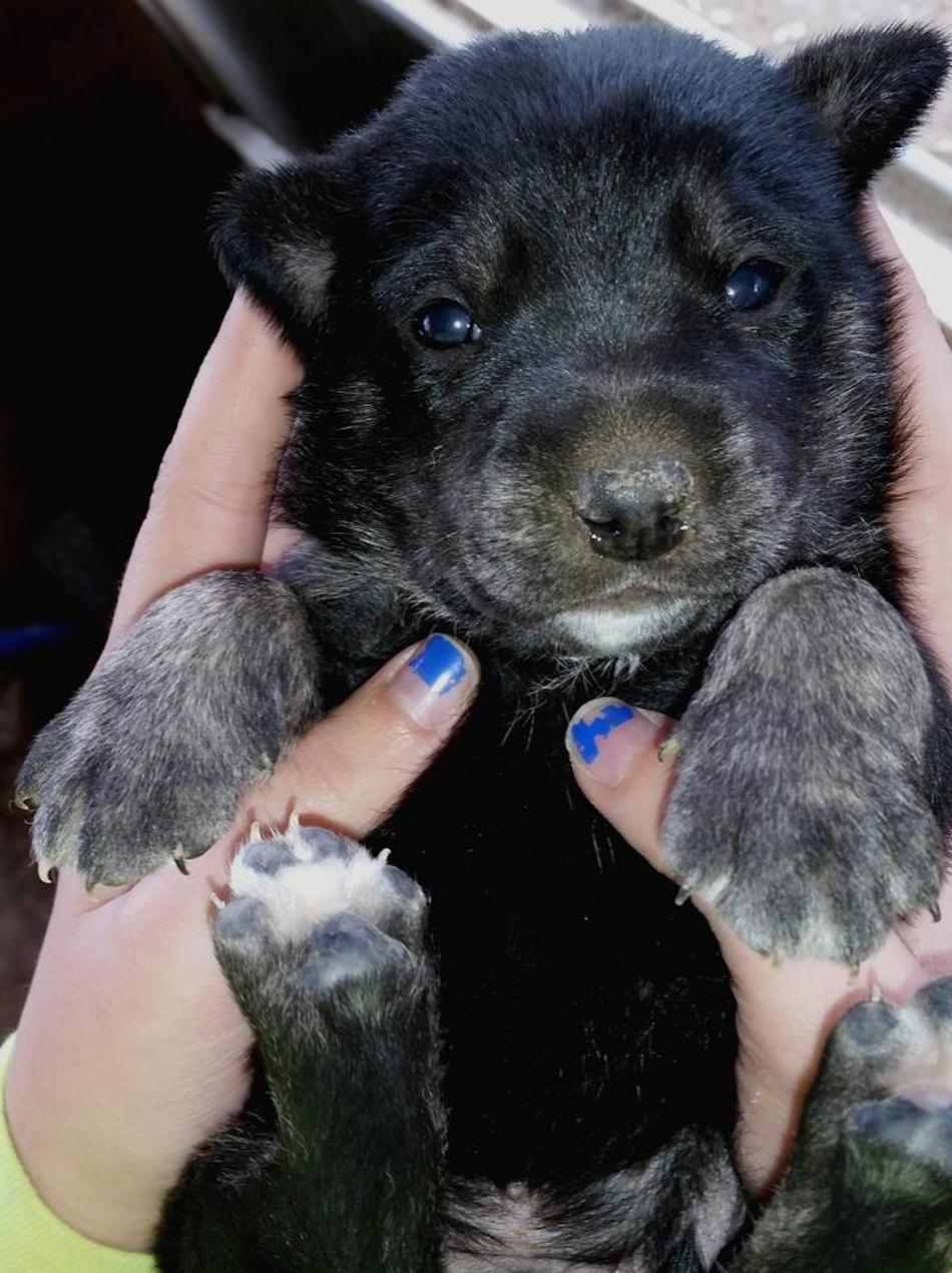 got-a-bear.jpg