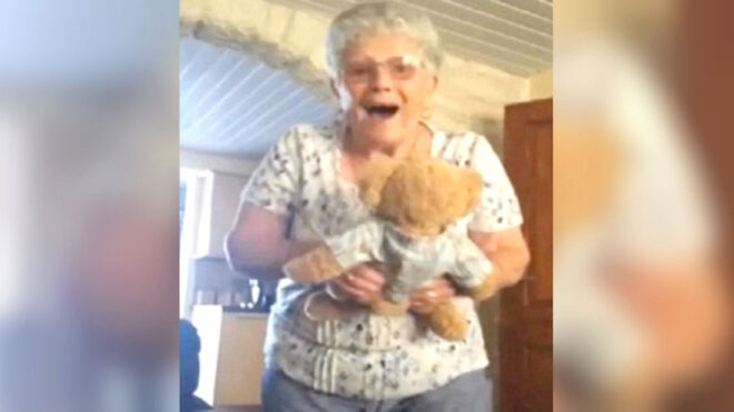 grandma bear 2