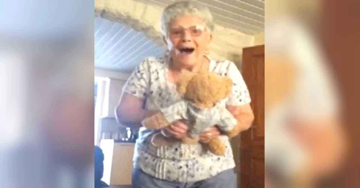 grandma bear 2